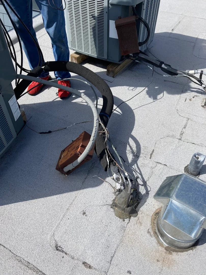 Roofing project by Gallery Built Roofing